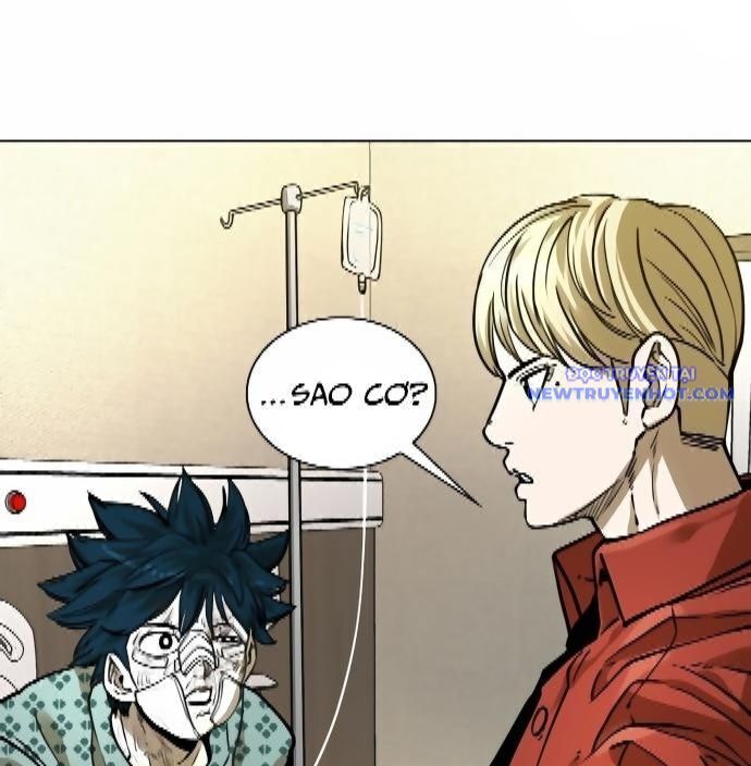 shark - cá mập chapter 290 16