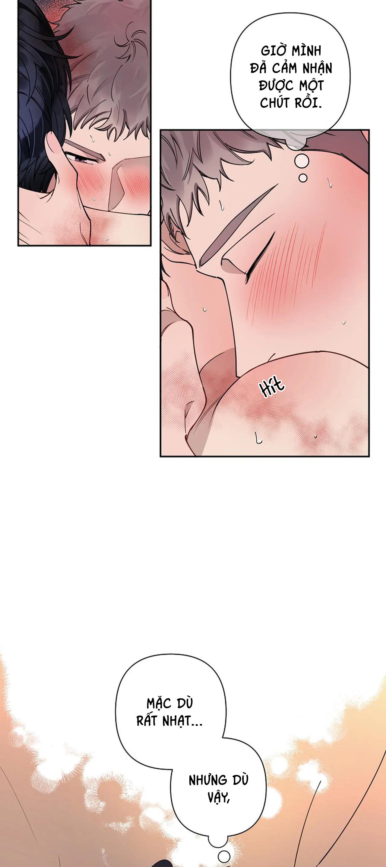 đêm dịu dàng chapter 14 23