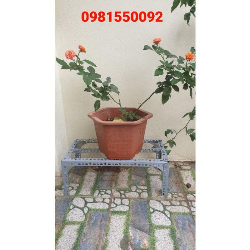 Kệ sắt để chậu cây cảnh,kệ chân chậu hoa,hoa mai,hoa hồng,cây cảnh