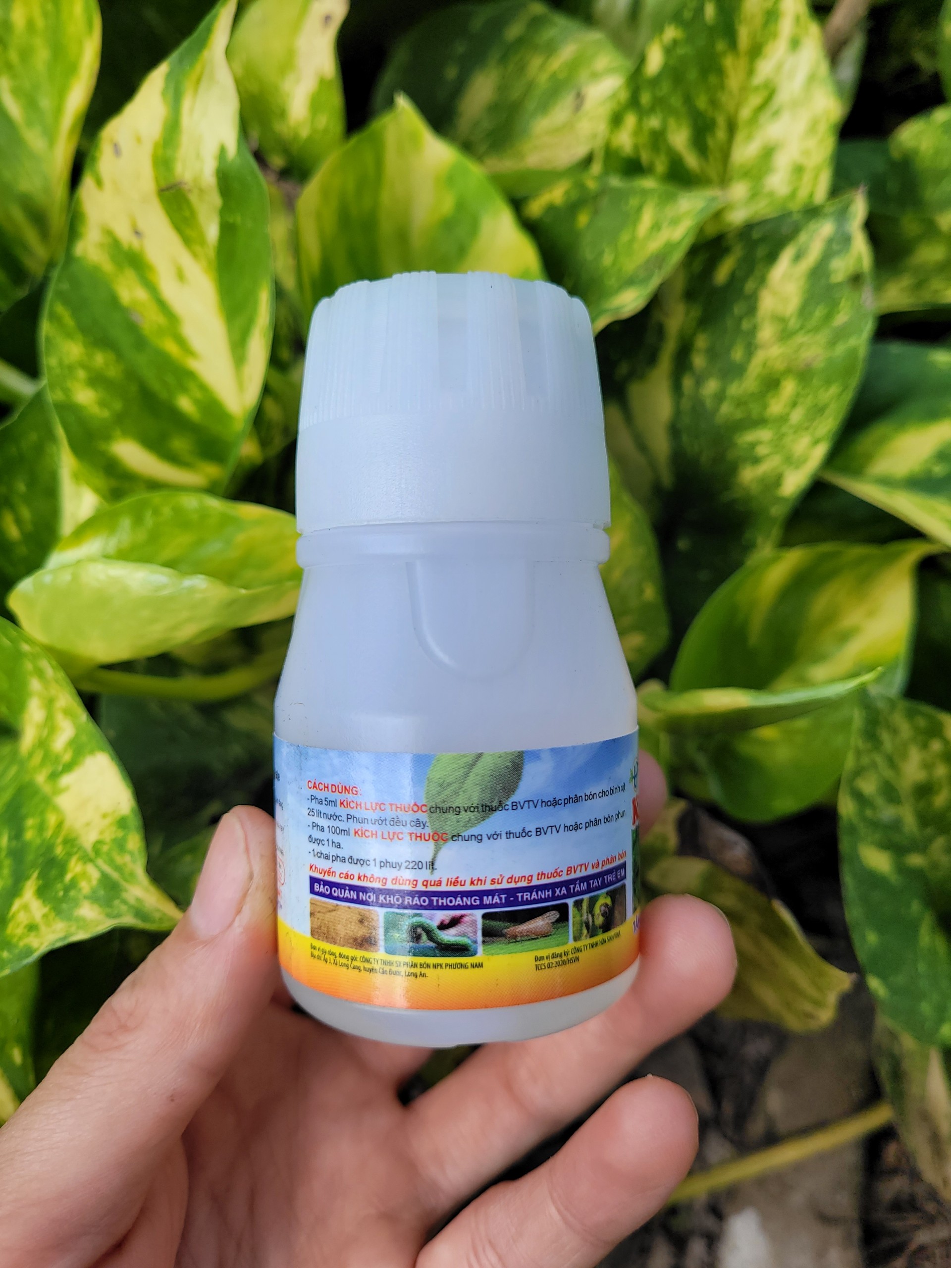 Chất hỗ trợ bám dính phân bón, thuốc trừ sâu, bệnh KÍCH LỰC THUỐC chai 50ml