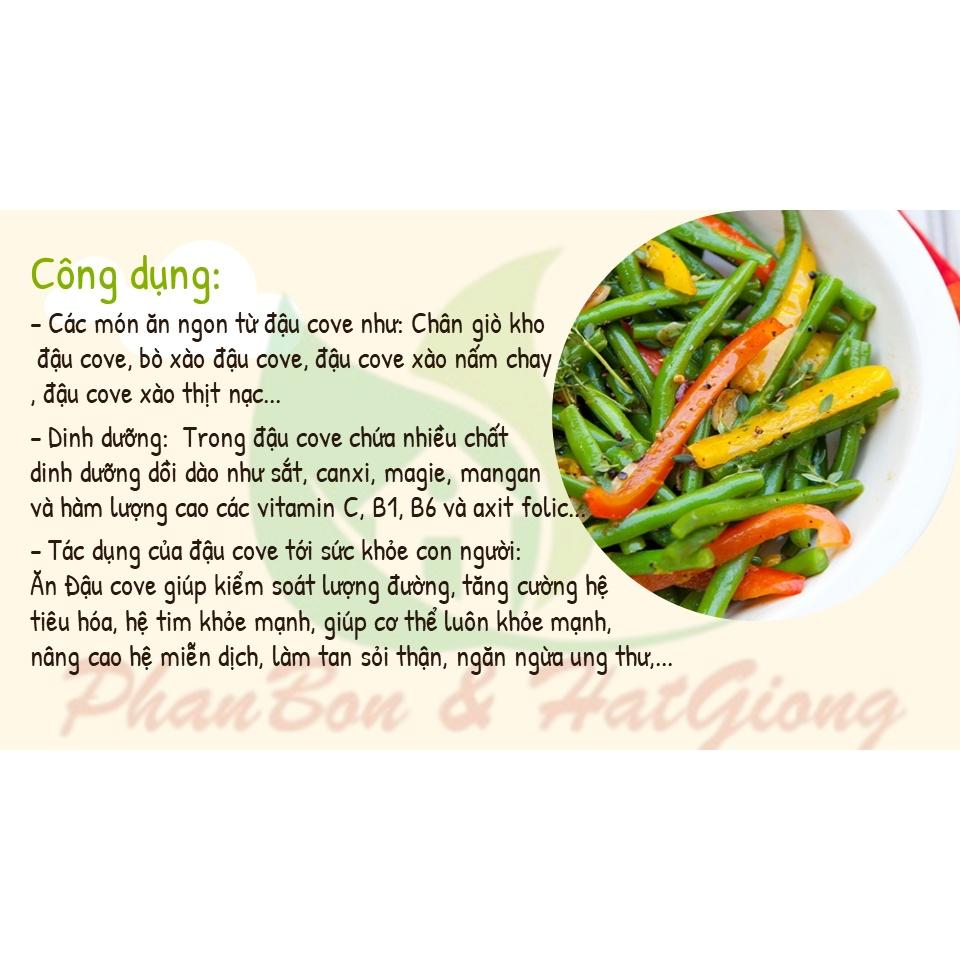 Hạt Giống Đậu Cove Hạt Trắng Dạng Leo 4 Mùa 10Gr - Phú Nông Seeds - Shop Phân Bón và Hạt Giống