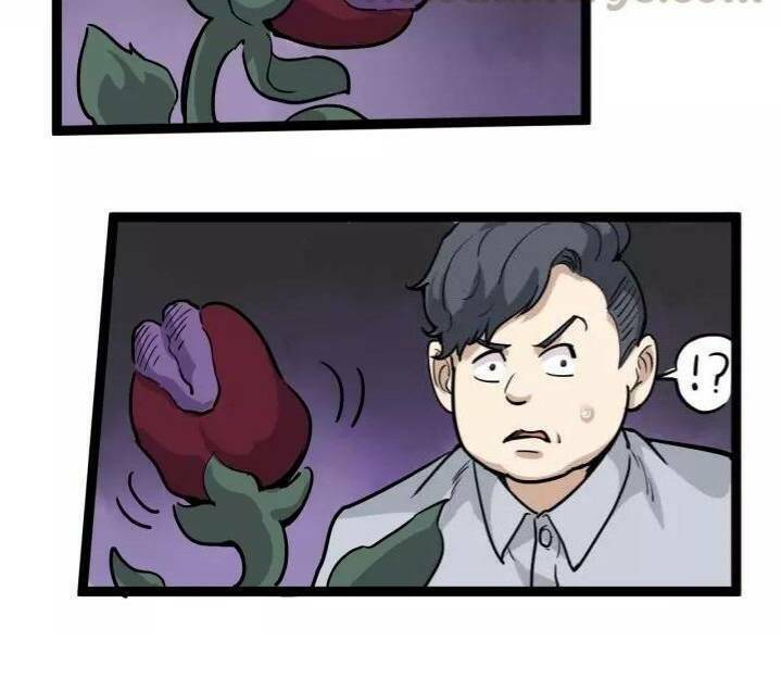 hồi xuân tiểu độc y chapter 47 80