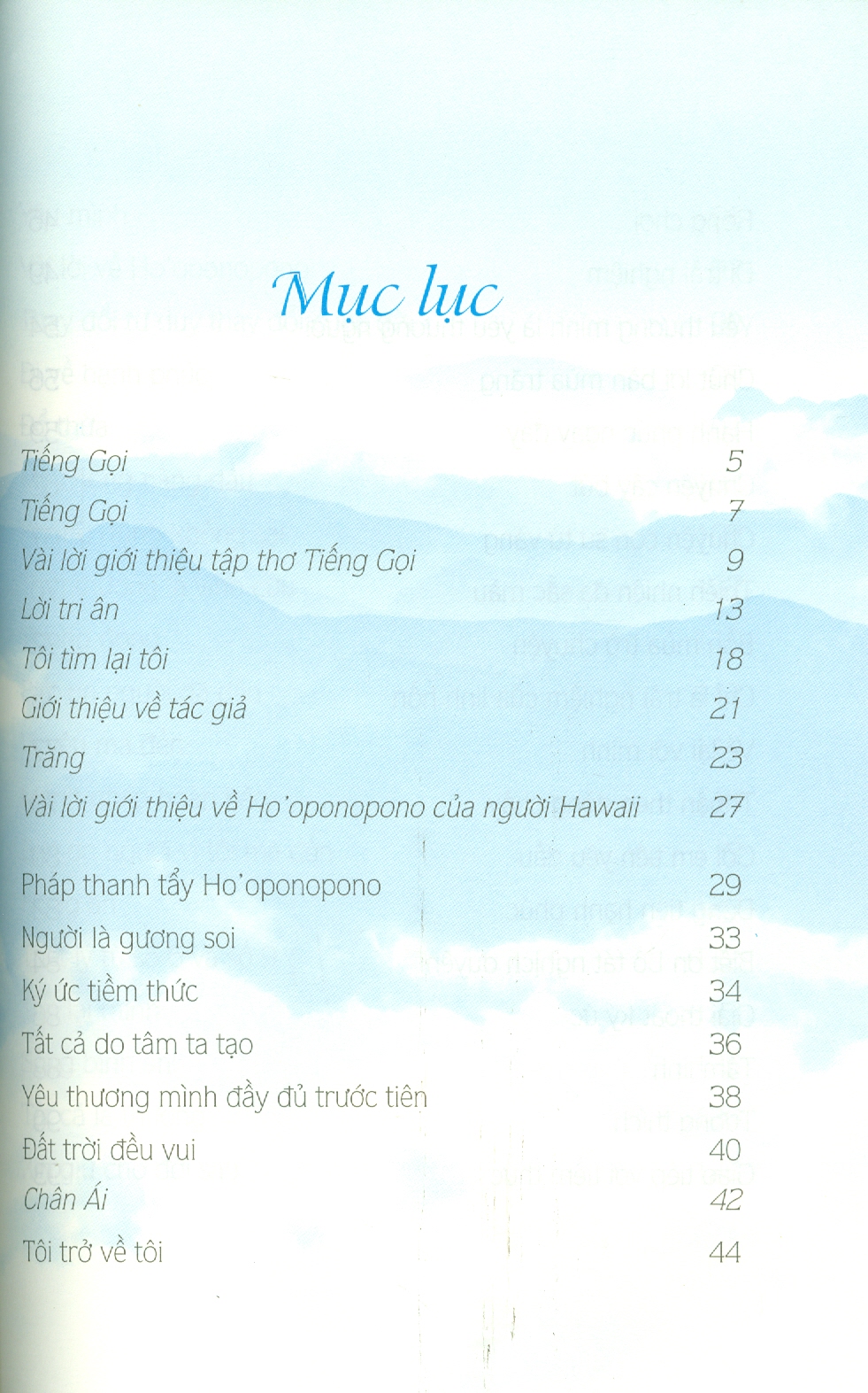 TIẾNG GỌI - Lê Thái Hằng (bìa mềm)