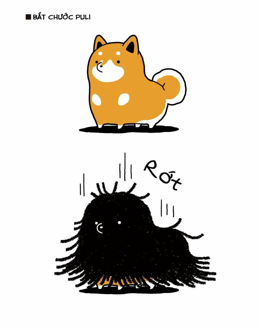 taru shiba chapter 7 12