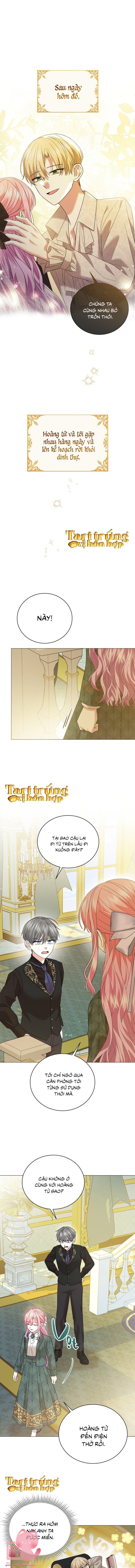 tiểu công chúa đang chờ hủy hôn chapter 34 1