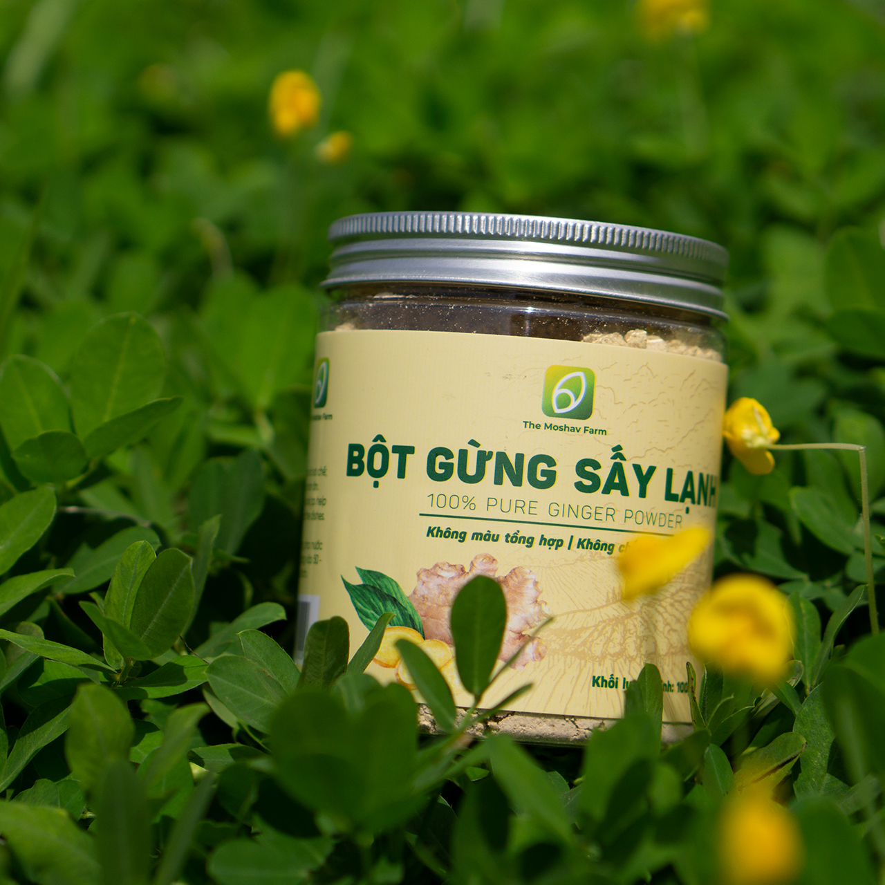 Bột Gừng Sấy Lạnh The Moshav Farm