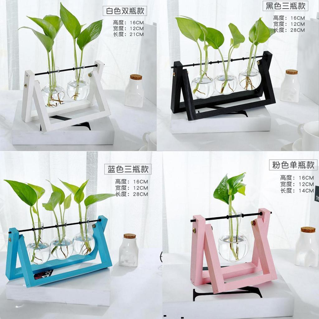 Vintage Glass Tabletop Hydroponic Flower Vase