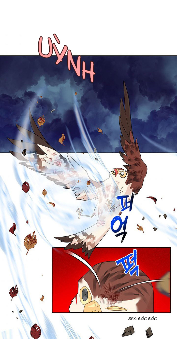 công chúa của loài chim chapter 11 66