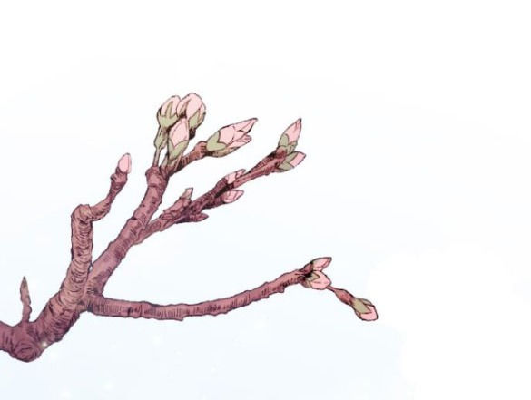 cô đi mà lấy chồng tôi chapter 69.2 17