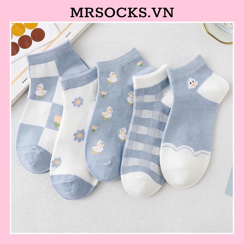 Vớ Tất Cổ Ngắn Vịt Xanh Dễ Thương Cotton Khánh Khuẩn Dành Cho Cả Nam Và Nữ 35-40 MRSOCKS VN066