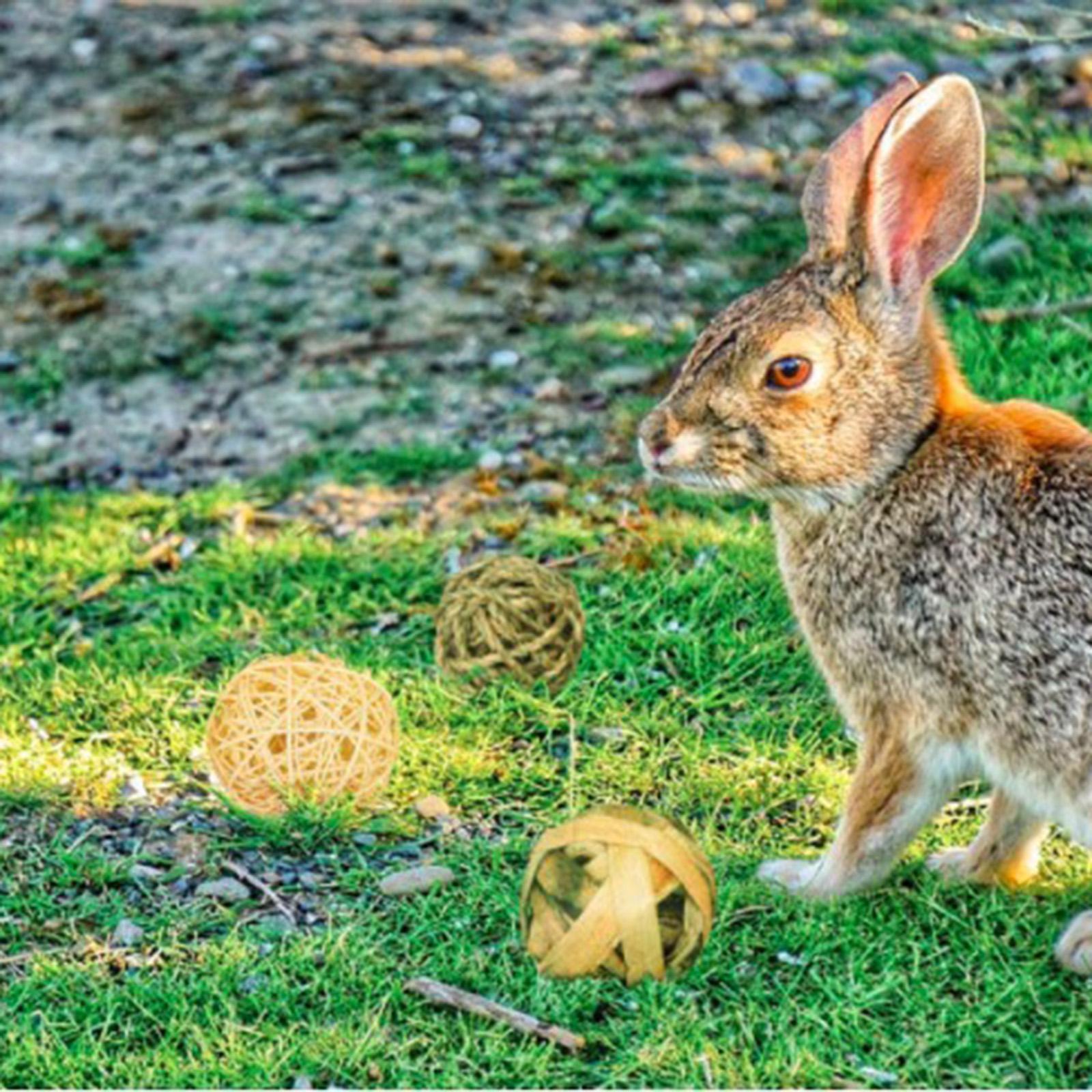 9Pcs Natural Material Rabbit Chew Toys Bunny Treat Ball Teething Chewable Interactive Toys Parrot Toys for Guinea Pigs Hamster Kitten Indoor