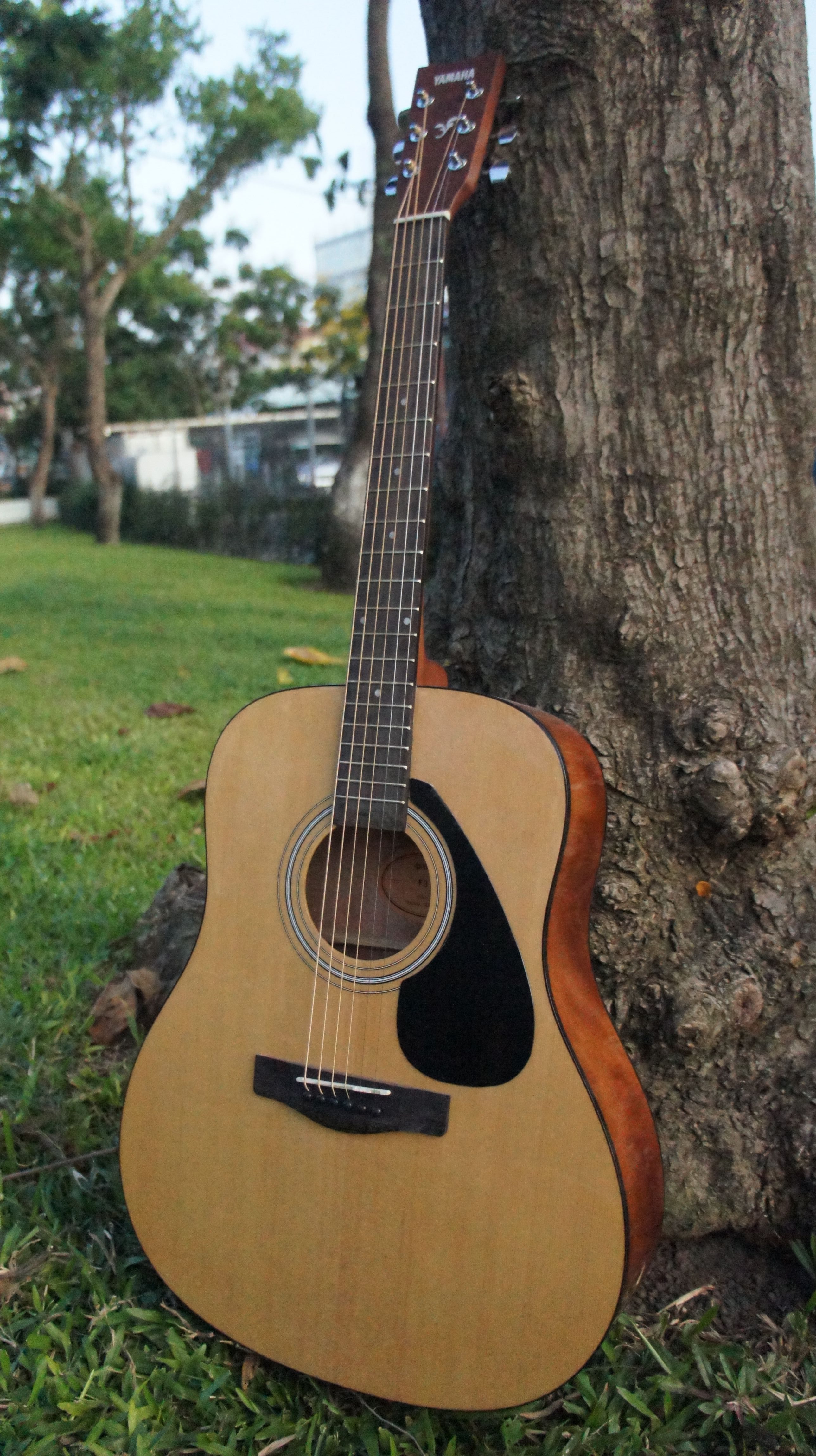 Đàn guitar acoustic Yamaha F310 tặng bao đàn guitar 3 lớp Sol.G + Tặng dây đàn Alice A406