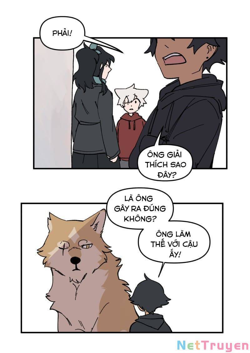 lumine - cội nguồn ánh sáng chapter 162 12