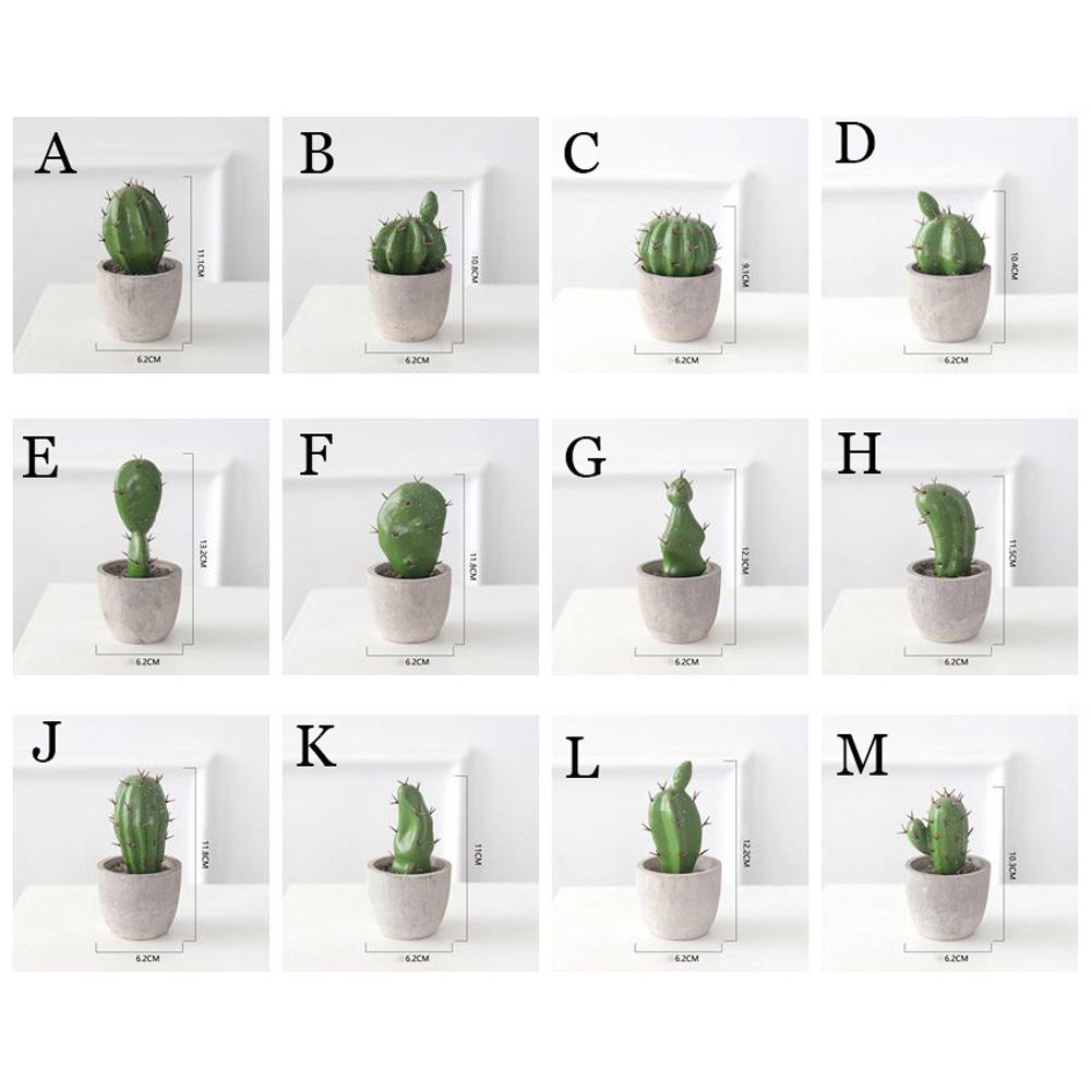 Cây Xương Rồng Giả Trang Trí Sân Vườn