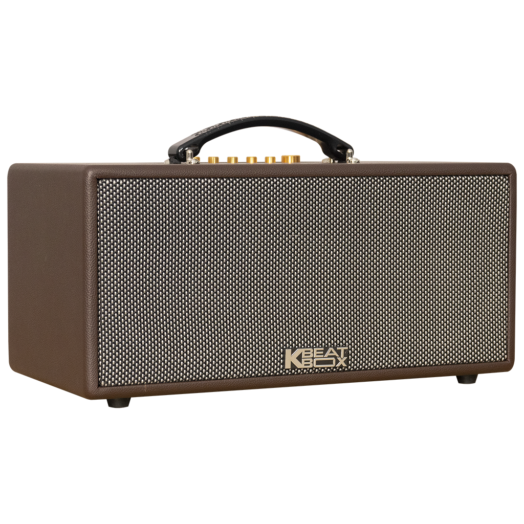 Dàn Âm Thanh Di Động Xách Tay ACNOS CS366 PLUS - HÀNG CHÍNH HÃNG