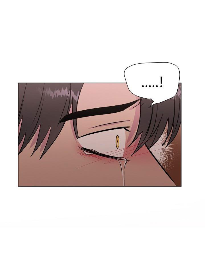 dưới đôi cánh ấy chapter 37 66