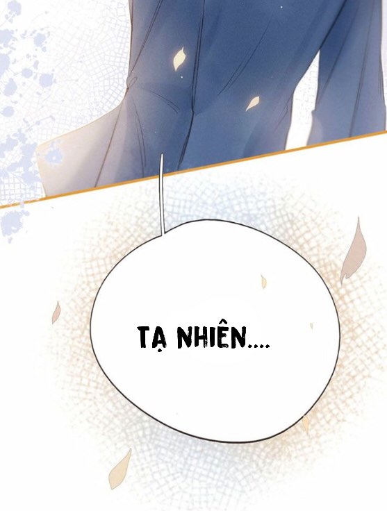 nỗi buồn của hoa cẩm tú cầu chapter 6 4