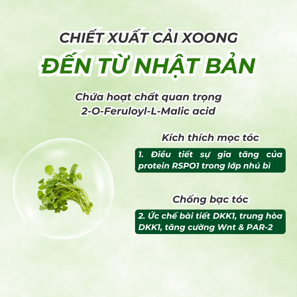 Lotion Dưỡng Tóc Dược Liệu Gleam 140ml - Giảm Gãy Rụng, Giảm Bạc Tóc &amp; Kích Thích Mọc Tóc