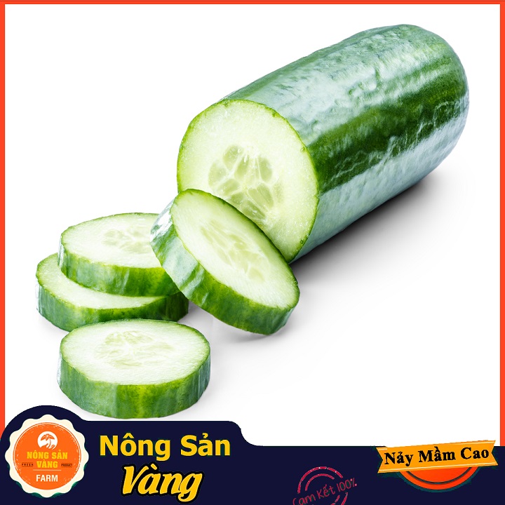 Hạt giống Dưa Leo - Nông Sản Vàng