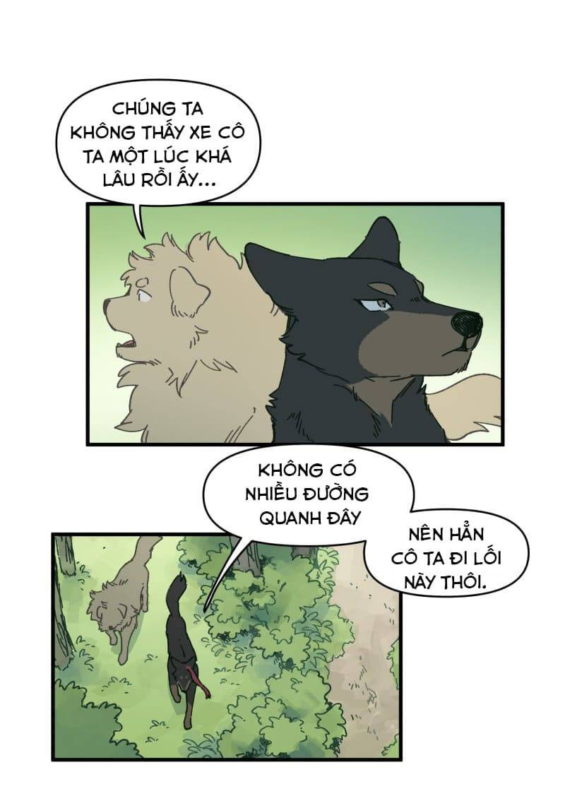 lumine - cội nguồn ánh sáng chapter 142 12