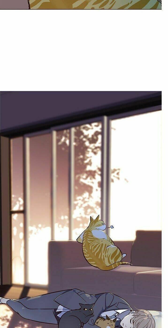 biến thân thành mèo chapter 7 68