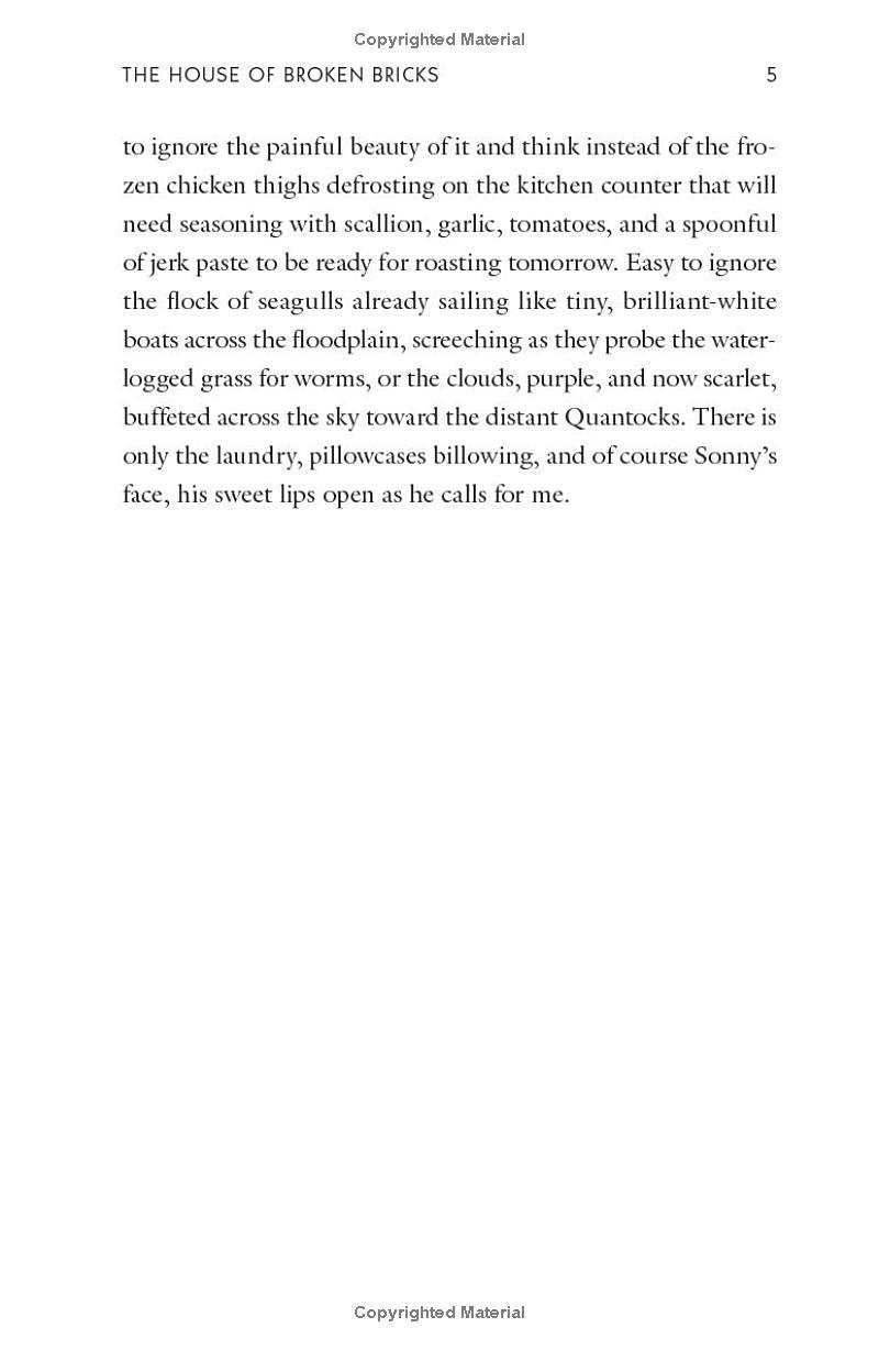 Sách ngoại văn: The House Of Broken Bricks