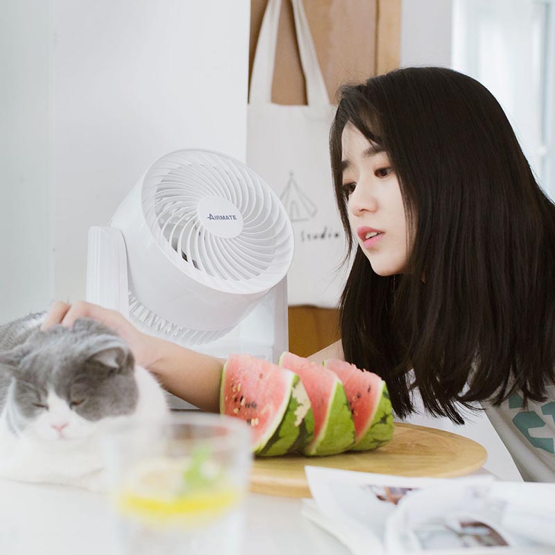 Quạt tuần hoàn không khí Xiaomi Youpin Airmate Đầu lắc câm di động