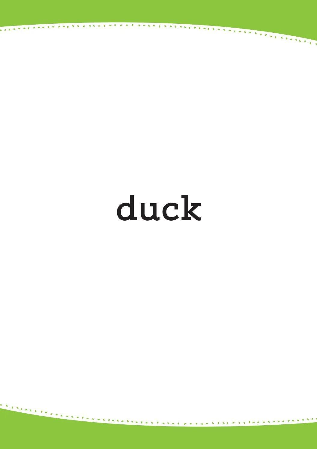 Sách ngoại văn: Words In Pictures (Printed Flashcards With Digital Code)