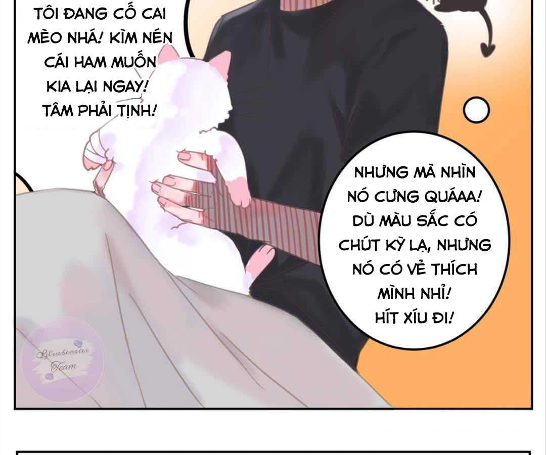 social cat chapter 1 55