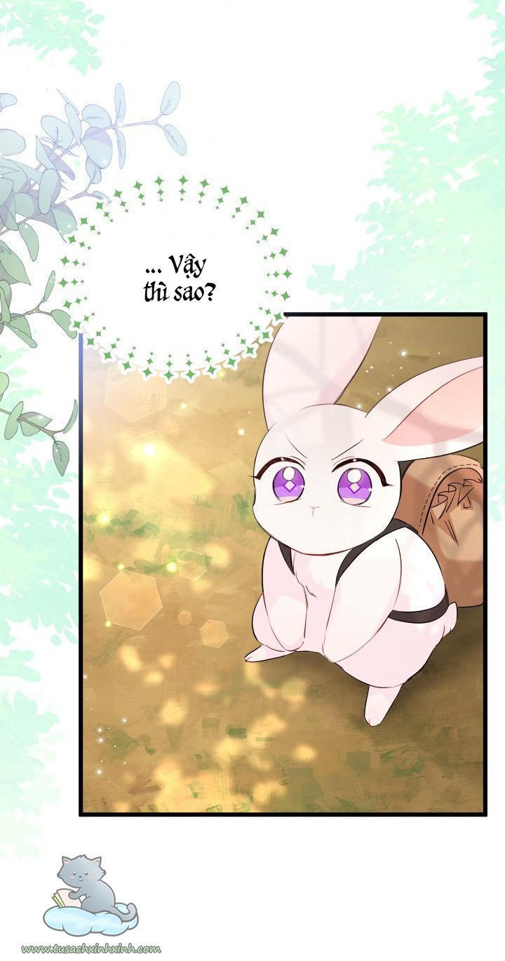 quan hệ cộng sinh giữa báo đen và thỏ trắng chapter 61 73