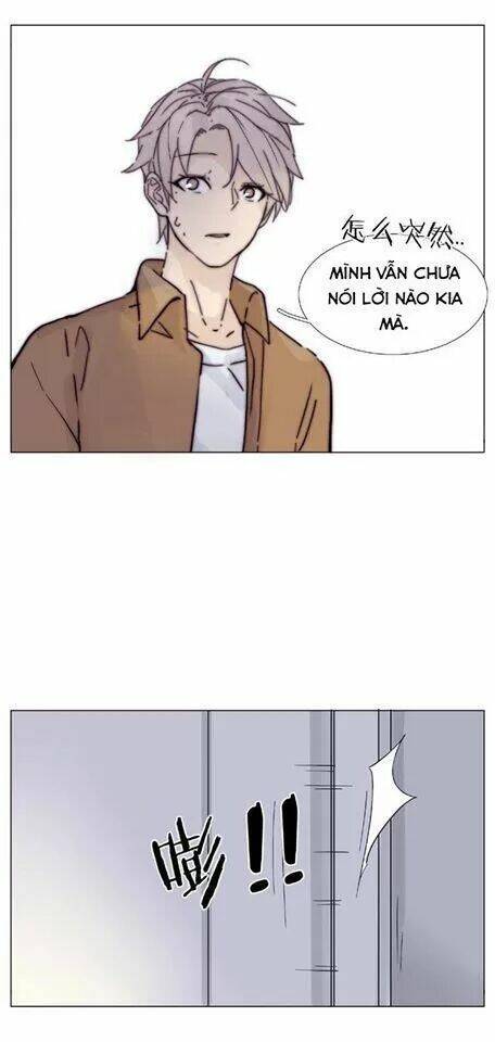 lấp lánh tình yêu kẹo bạc hà chapter 91 9