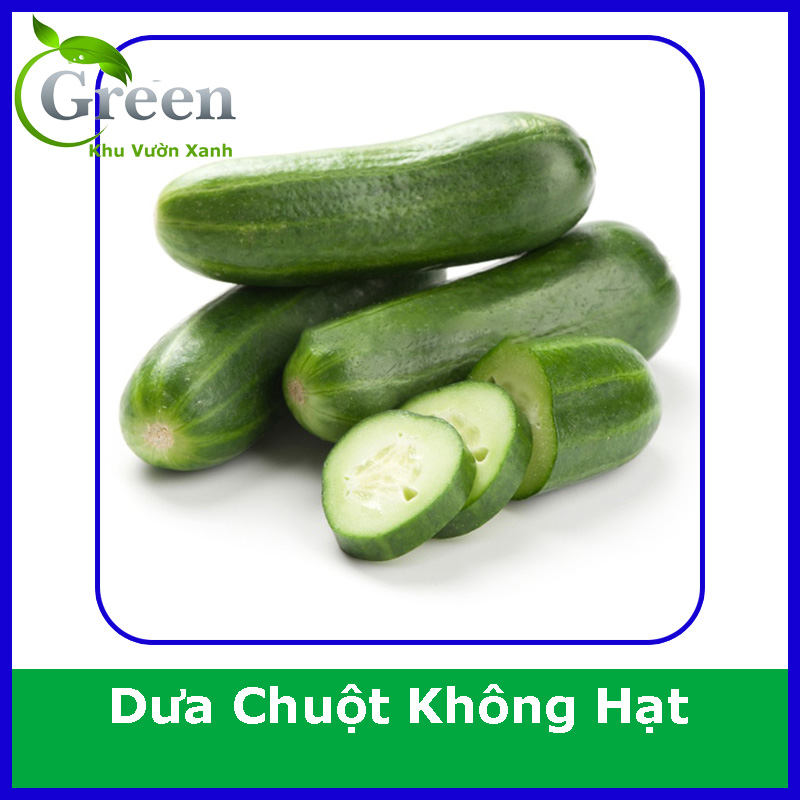 Hạt Giống Dưa Chuột Không Hạt Trái Ngắn 15H