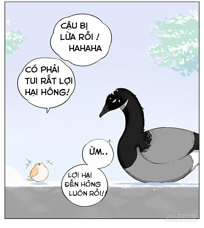 sẻ chiếu mới và nhạn phong sương chapter 6 14