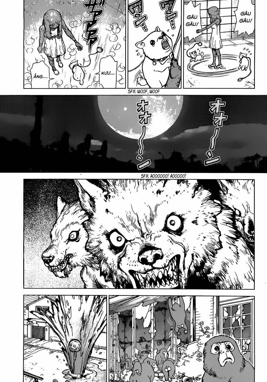 dr.stone - hồi sinh thế giới chapter 1 25