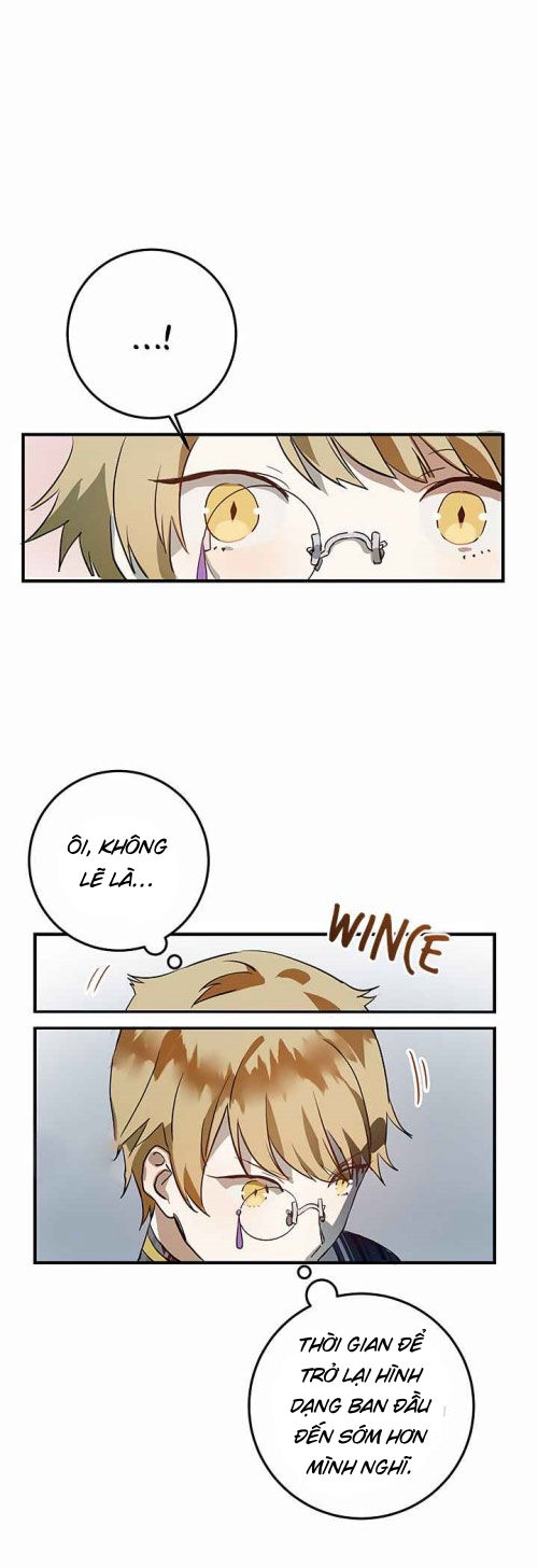 câu chuyện về đứa con lai chapter 5.2 10