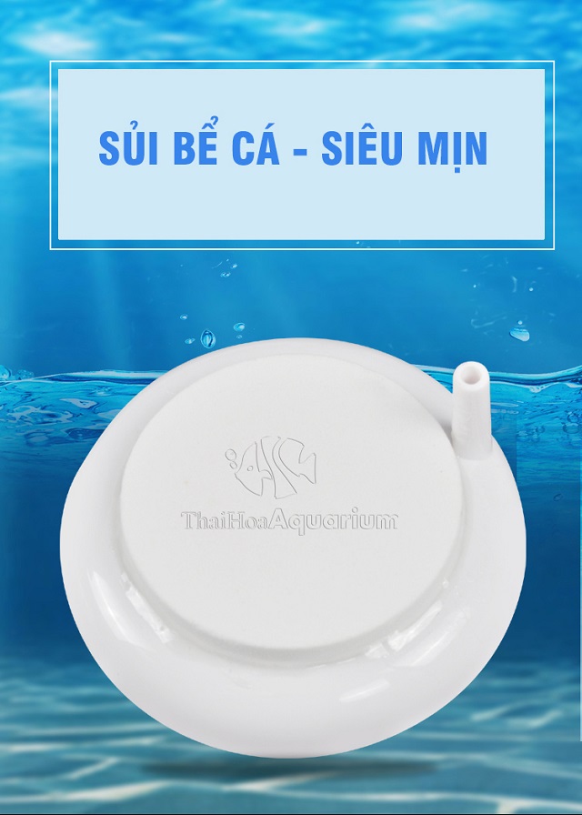 Đĩa Sủi Oxy Siêu Mịn Cho Bể Cá