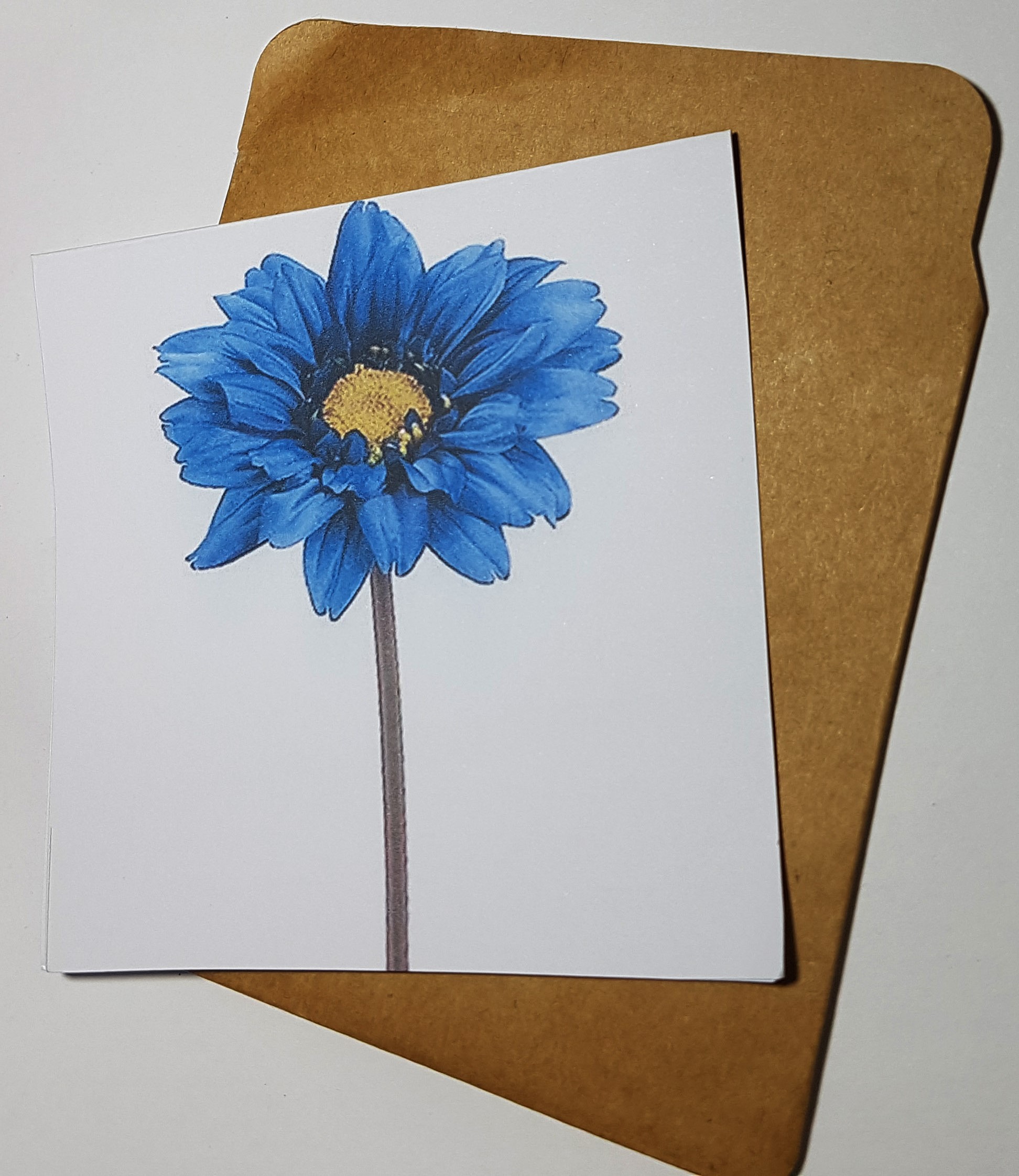 Thiệp phong cách Vintage card quà cám ơn ,chúc mừng sinh nhật và giử tặng người thân yêu.