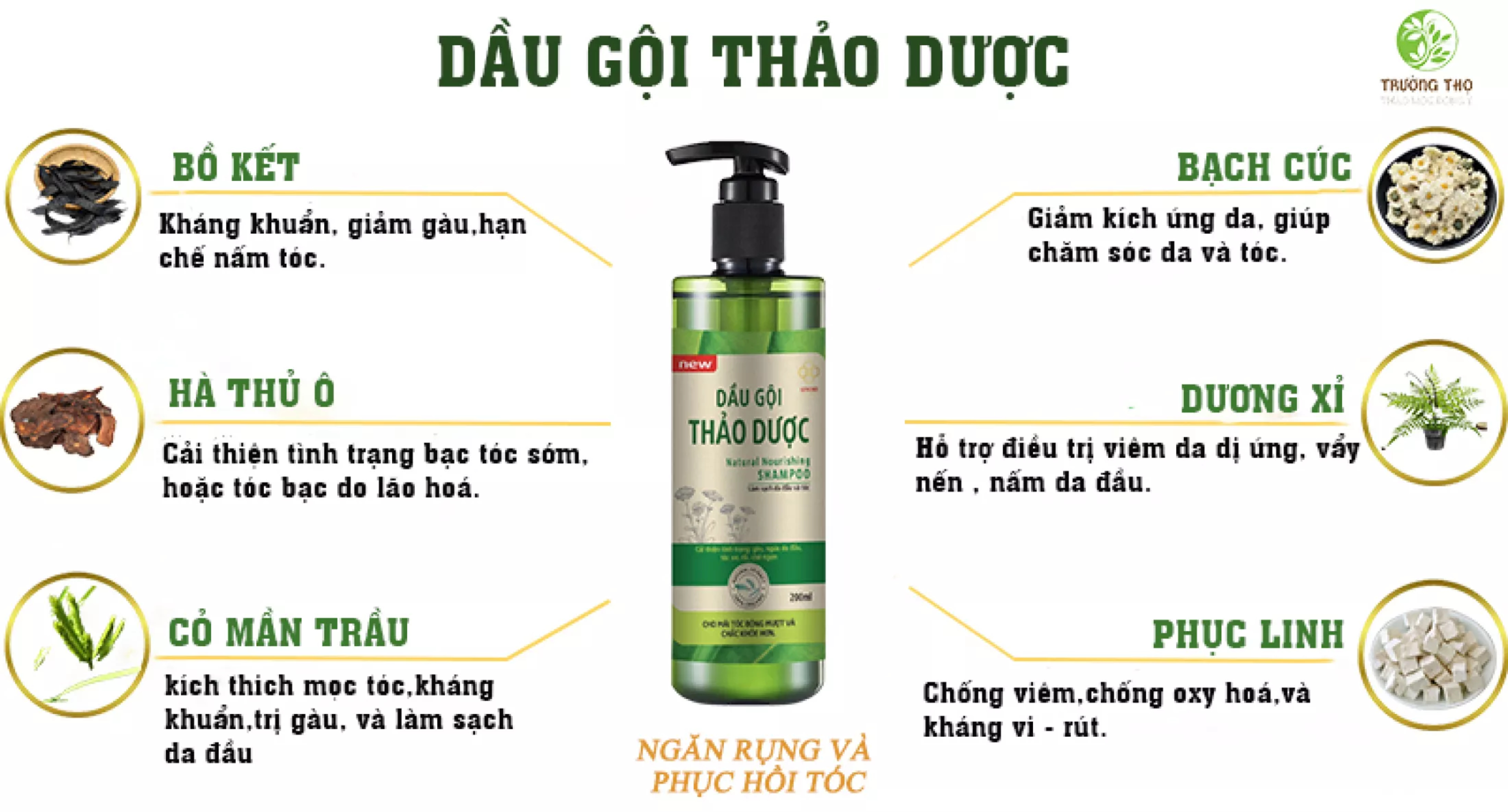 Combo Hai Sản Phẩm Dầu Gội Dược Liệu Và Kem Bôi Da Trường Thọ Sinori Hỗ Trợ Điều Trị Nấm Da Đầu, Viêm Da Đầu, Nấm Tóc