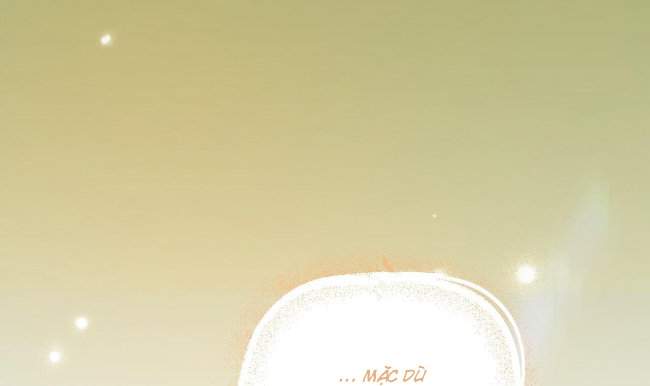 những chú thỏ của hapypy chapter 56 154