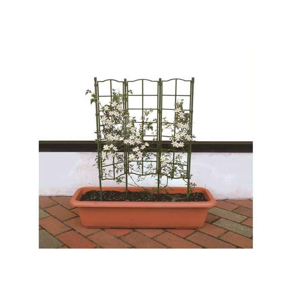 Khung trồng hoa leo cao 75cm loại ghép