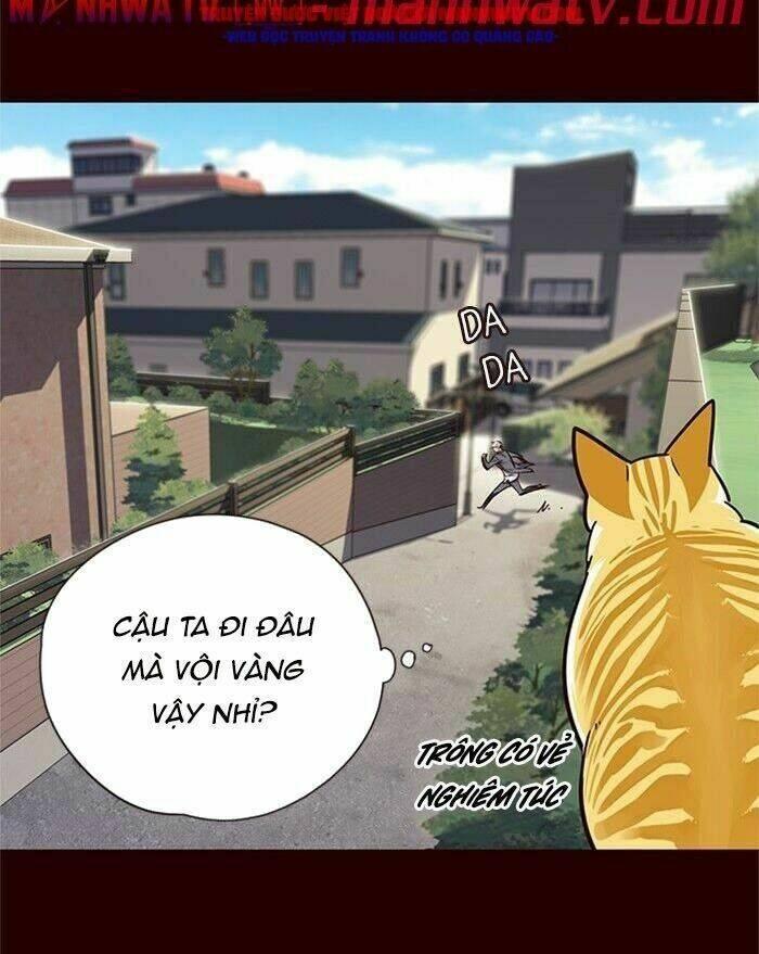 biến thân thành mèo chapter 52 47