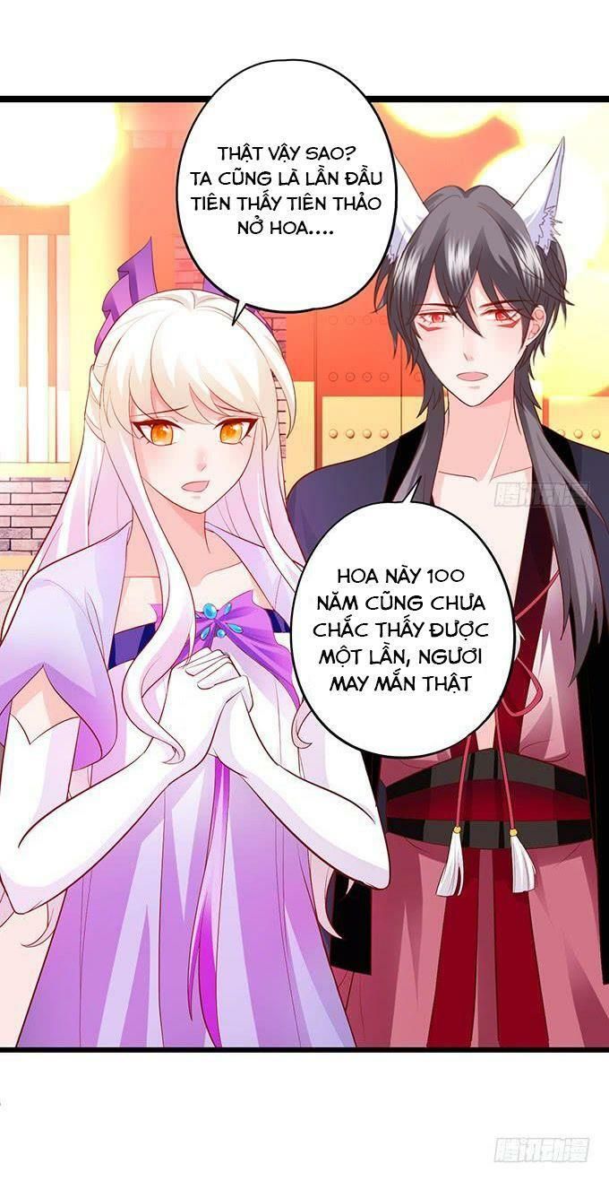 hồ tiên hung bạo chapter 138 5