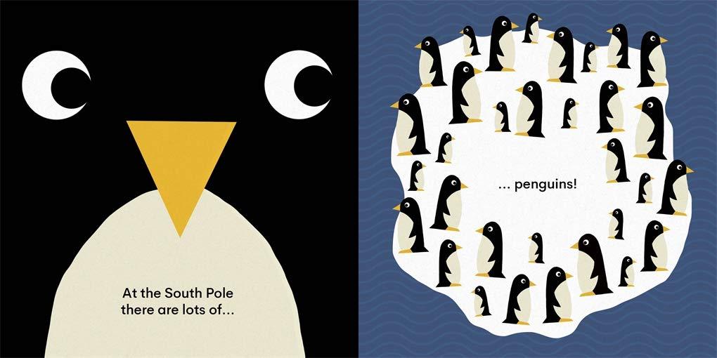 Sách ngoại văn: Eco Baby - Ice Caps