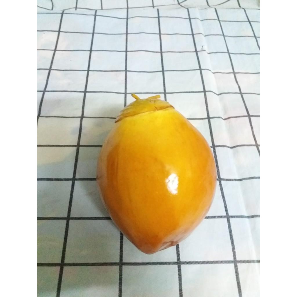 Combo 10 loại trái cây trang trí