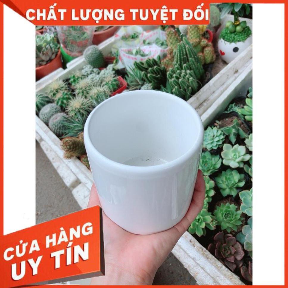 Chậu kiểu trắng trơn có dĩa lót