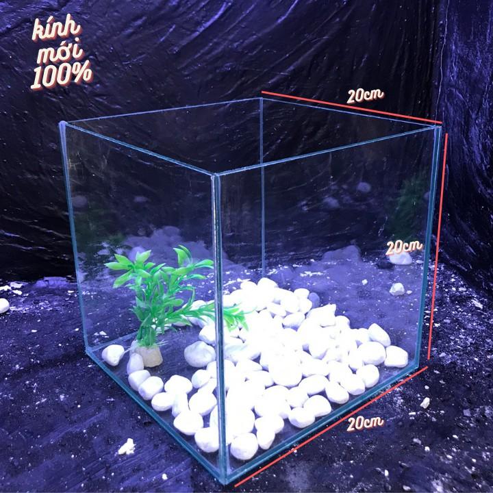 Bể cá mini CUBIC 20cm COMBO Hồ+ Lọc+ Đèn Tặng 6 món phụ kiện trang trí