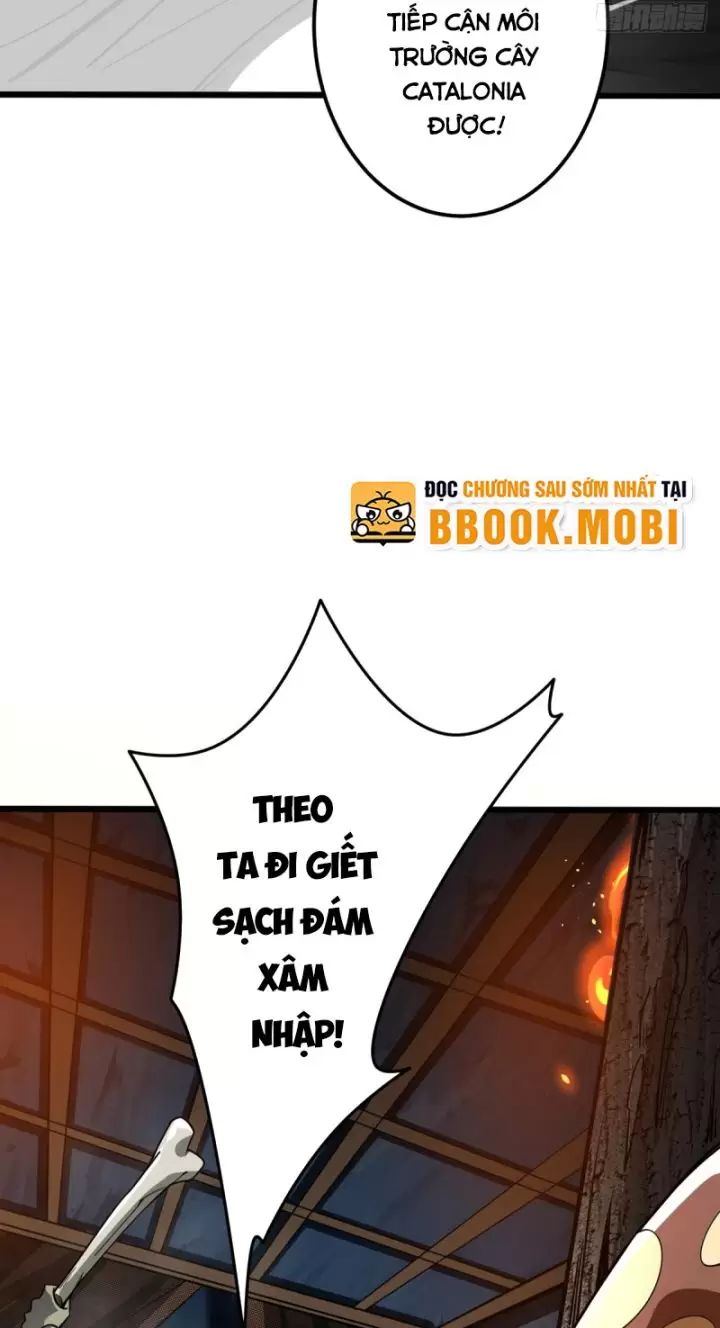 ta, chúa tể rừng xanh chapter 6 70