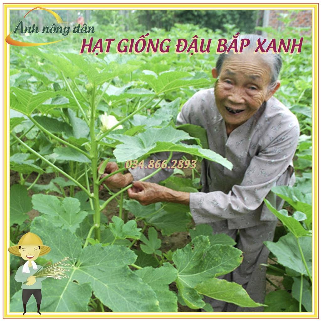 Gói 10g Hạt giống đậu bắp xanh - hạt loại 1, dễ nảy mầm, sản lượng cao