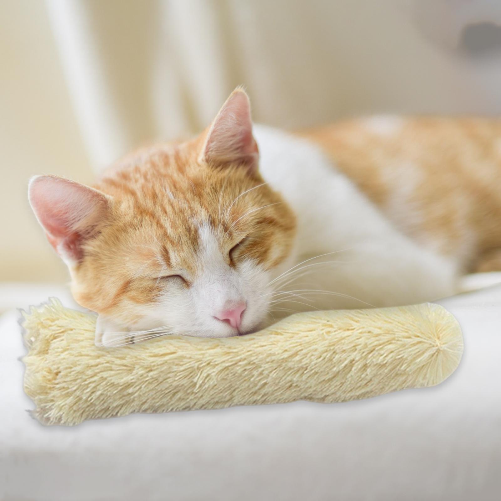 2 Cat Catnip Toy Chewing Durable Scratching Training toy for Indoor