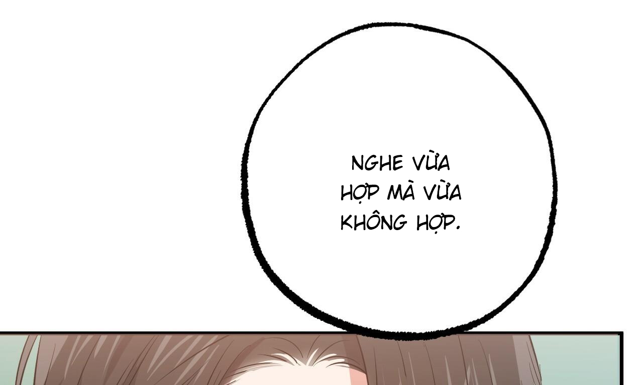 những chú thỏ của hapypy chapter 53 177
